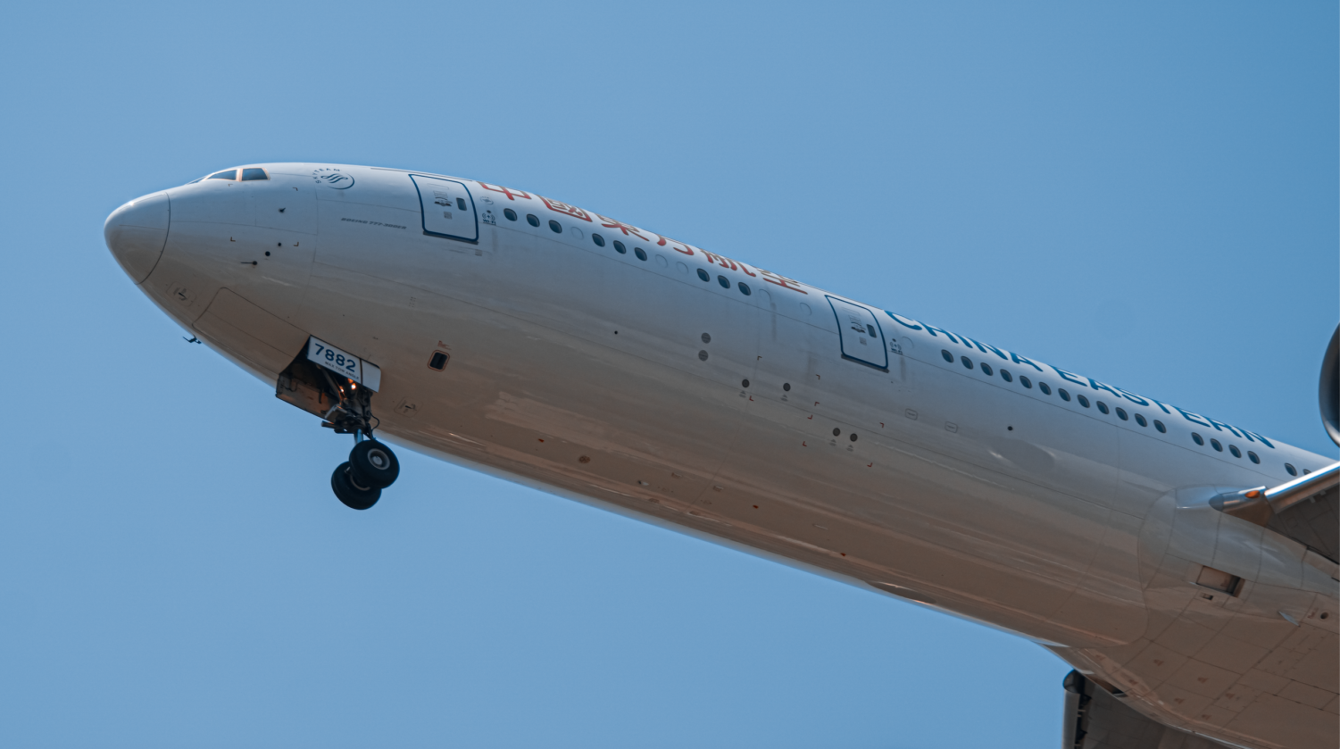 v1 beluga